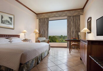 Room, 1 King Bed