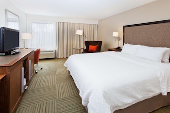 Room, Accessible, Non Smoking (Roll-In Shower)