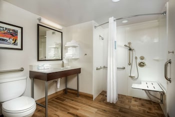 Room, 1 King Bed, Accessible (Roll-In Shower)