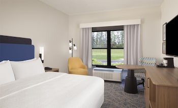 Room, 1 King Bed, Accessible, Non Smoking