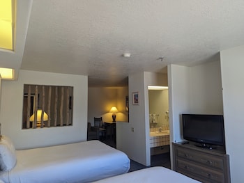 Standard Suite, Multiple Beds (Studio Room (No Pets))