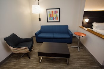 Suite, 1 King Bed with Sofa bed