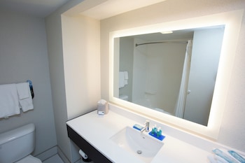 Standard Room, 1 King Bed, Accessible (Mobility, Roll-In Shower)