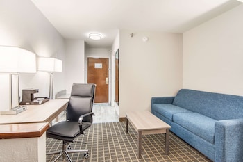 Suite, 1 King Bed with Sofa bed, Non Smoking