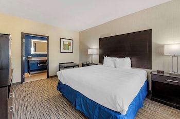 Presidential Suite, 1 King Bed, Non Smoking, Kitchenette (with Sofabed)