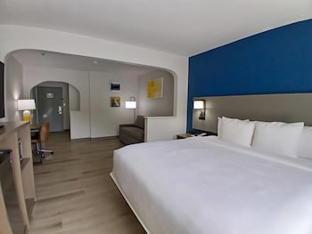 Executive Suite, 1 King Bed with Sofa Bed, Ground Floor