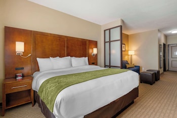 Suite, 1 King Bed, Non Smoking