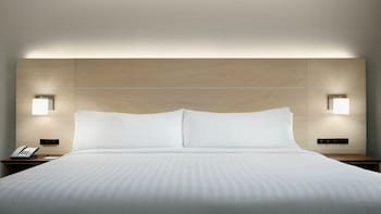 Suite, 1 King Bed with Sofa bed