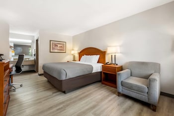 Standard Room, 1 King Bed, Non Smoking