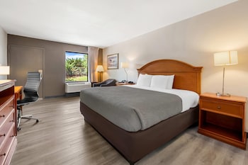 Room, 1 King Bed, Accessible, Non Smoking