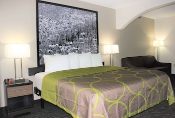 Standard Room, 1 King Bed with Sleeper Sofa, Non Smoking