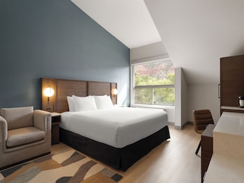 Room, 1 King Bed, Roll-in Shower (Accesible)