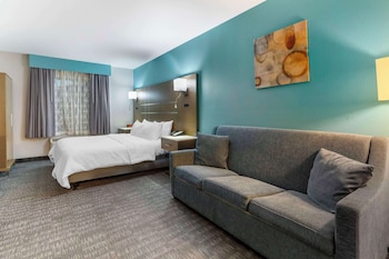 Suite, 1 King Bed with Sofa bed, Accessible, Non Smoking (with Sofabed)