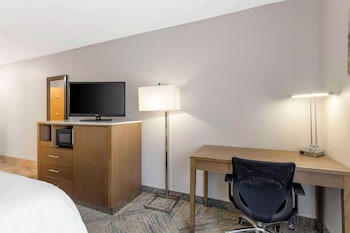 Standard Room, 1 King Bed, Accessible, Non Smoking