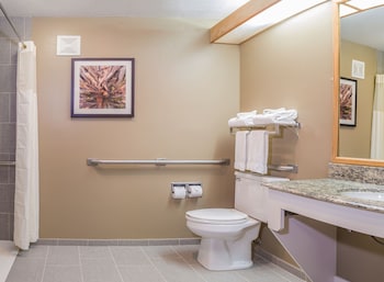 Deluxe Room, 1 King Bed