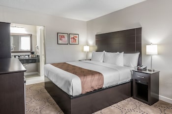 Room, 1 King Bed, Lake View