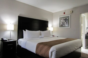 Room, 1 King Bed, Lake View