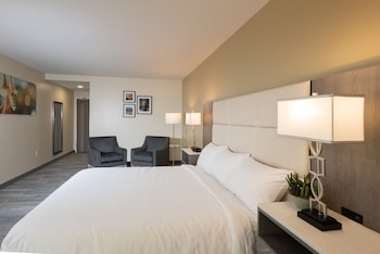 Superior Room, 1 King Bed, Non Smoking