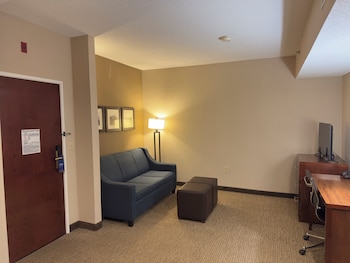 Suite, 1 King Bed with Sofa bed, Non Smoking (Efficiency)