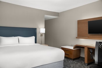 Room, 1 King Bed with Sofa bed