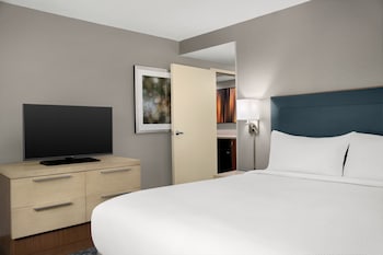 Room, 1 King Bed with Sofa bed