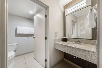 Suite, 1 King Bed with Sofa bed, Non Smoking
