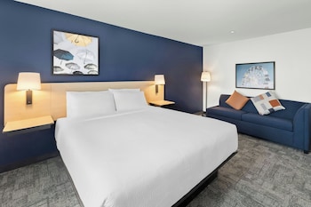 Standard Room, 1 King Bed with Sofa bed
