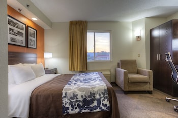 Standard Room, 1 King Bed, Non Smoking