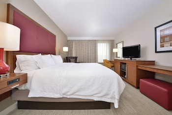 Room, 1 King Bed, Accessible (Hearing)