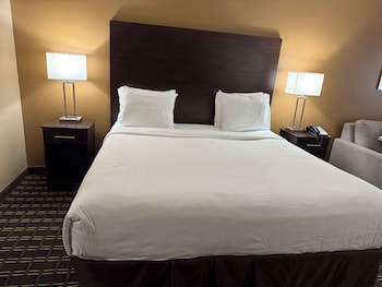 Standard Room, 1 King Bed, Accessible, Refrigerator & Microwave (with Sofabed)