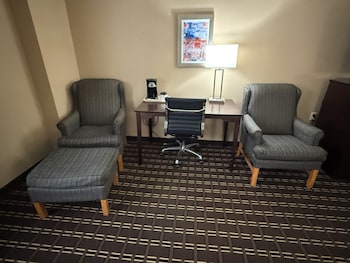 Standard Room, 1 King Bed, Accessible, Refrigerator & Microwave (with Sofabed)