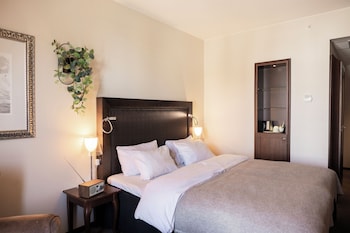 Standard Room, 1 Double Bed