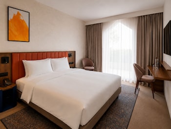 Premium Family Room 1 King Bed 1 Child's Bed