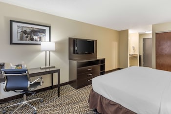 Standard Room, 1 King Bed, Accessible, Bathtub