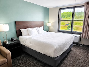 Suite, 1 King Bed with Sofa bed, Non Smoking, Jetted Tub