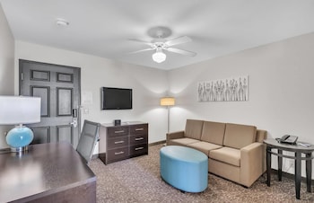 Suite, 1 King Bed with Sofa bed, Accessible, Non Smoking