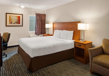Standard Room, 1 King Bed, Non Smoking