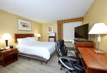Standard Room, 1 Queen Bed, Accessible (Communications, Roll-In Shower)