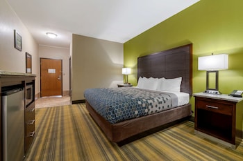 Standard Room, 1 King Bed, Non Smoking