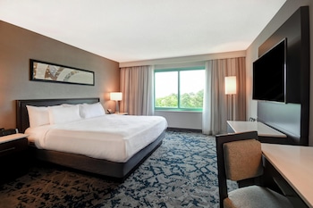 Suite, 1 King Bed, Microwave
