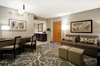 Room, 1 King Bed with Sofa bed, Mobility Accessible, Kitchenette