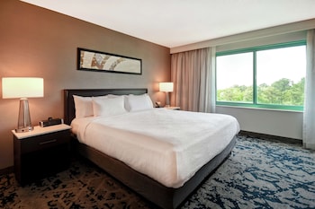 Suite, 1 King Bed (Hospitality)