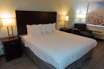Standard Room, 1 King Bed, Non Smoking, Refrigerator & Microwave