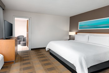 Suite, 1 King Bed (Additional Living Area)