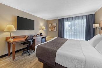 Standard Room, 1 King Bed, Non Smoking