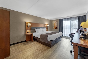 Standard Room, 1 King Bed, Accessible, Bathtub
