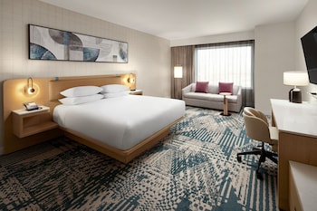 Room, 1 King Bed