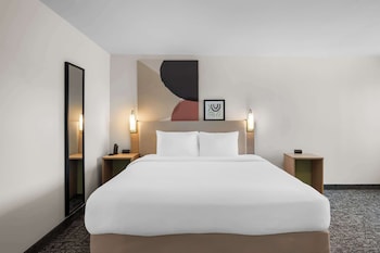 Room, 1 King Bed with Sofa bed