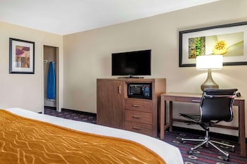 Standard Room, 1 King Bed, Non Smoking