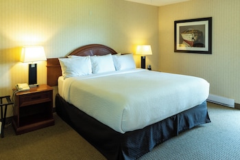 1 Bedroom King Lakeview Suite - No Pets